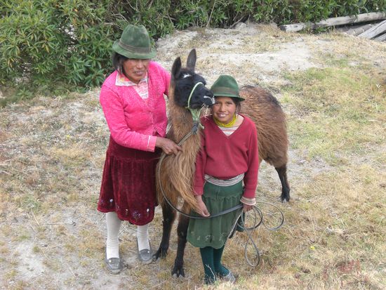Das obligadorische Lama
