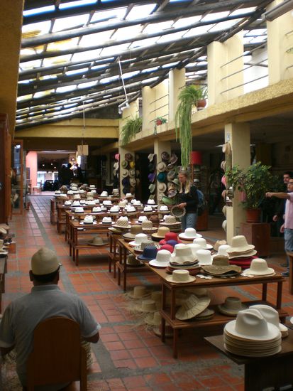 Panamahuete so weit das Auge reicht