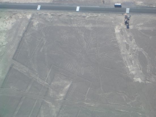 "Der Baum" und die Panamerikana, die teilweise durcfh die Linien fuehrt