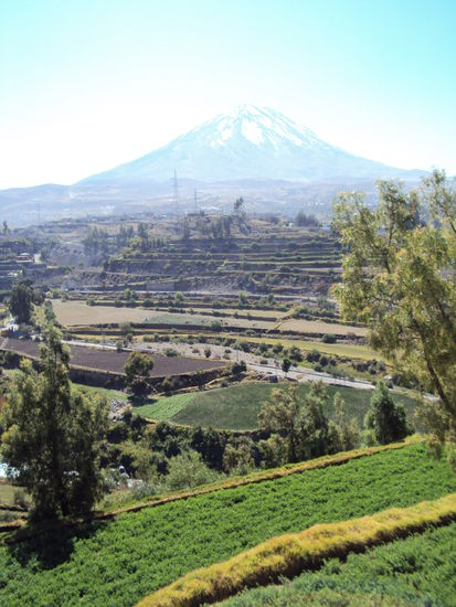 Terassen, auf denen angebaut wird und Vulkan Misti im Hintergrund