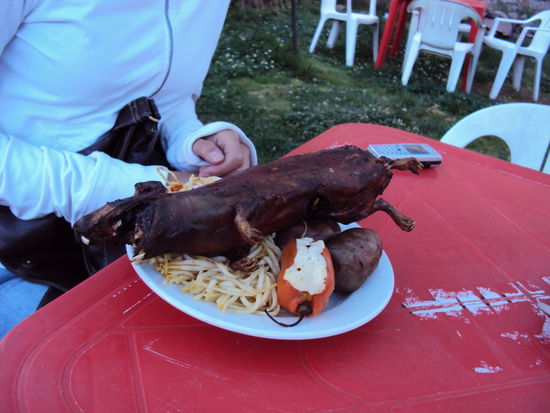 "Mein" Meerschweinchen