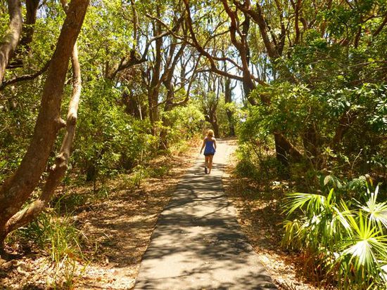 der walking track zum lighthouse, lotta ganz vorne^^