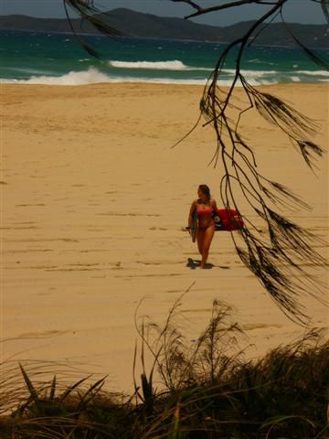 lischen ganz allein auf einer einsamen insel und einem menschenleeren strand