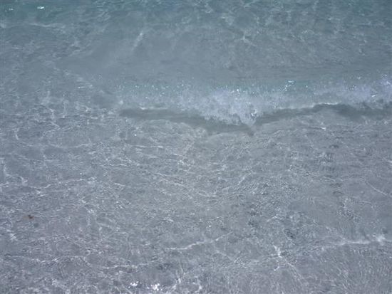 ich hoffe, auf dem foto sieht man auch, wie klar das wasser dort war!