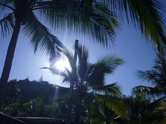 sonne, palmen, strand und meer, was will man meeeer?
