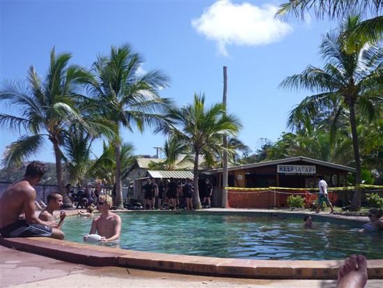 reef safari tauchschule