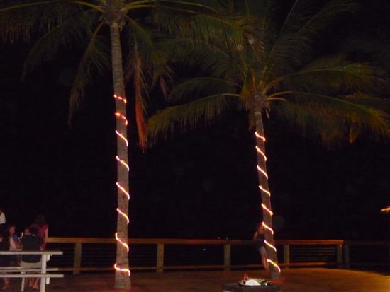 sogar blinklichter um die palmen rum, tolli