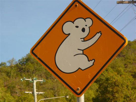 uiii, koaliiiis, nach so einem schild hab ich so lange geschaut...da musste ich natuerlich mitten auf der strasse anhalten und es fotografieren