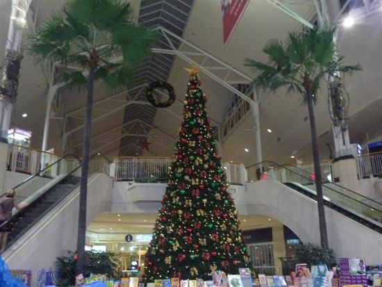 unglaublich, koennt ihr euch das vorstellen, hier steht der weihnachtsbaum zwischen den palmen!!*wahhhhh* weniger weihnachtsstimmung geht einfach garnicht^^