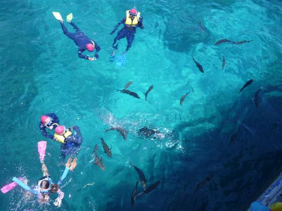 und gaaanz viele grosse fische