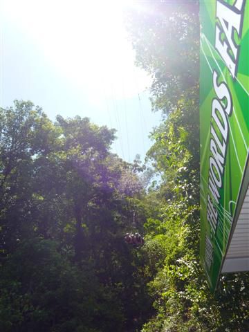 da oben kommen wir runter the world's fastest jungle swing 120km/h, passt