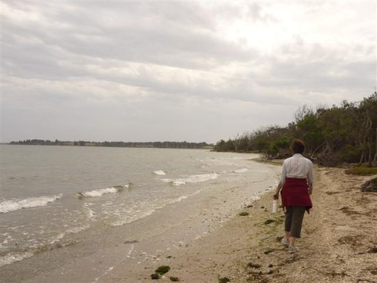 spaziergang am see