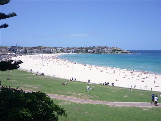 back to bondi beach!