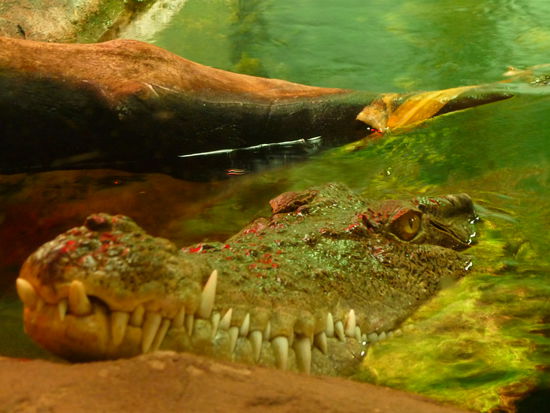 das ist schon wieder weniger schoen....huihuiui...*bibber*