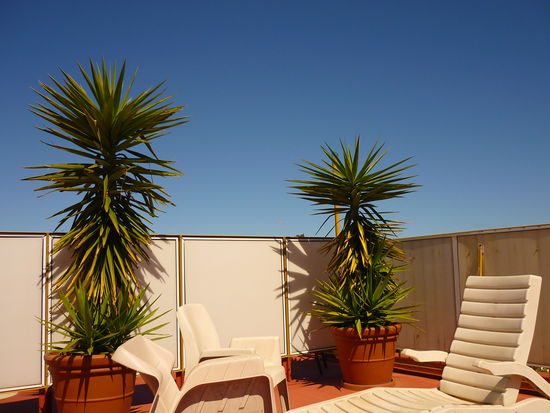 ...auf unserer endgeilen dachterasse...