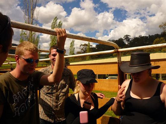 los gehts mit dem truck den berg hoch und holz sammeln