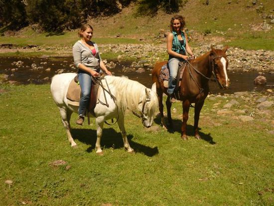 schade, dass brittas pferd nicht ins wasser ist^^