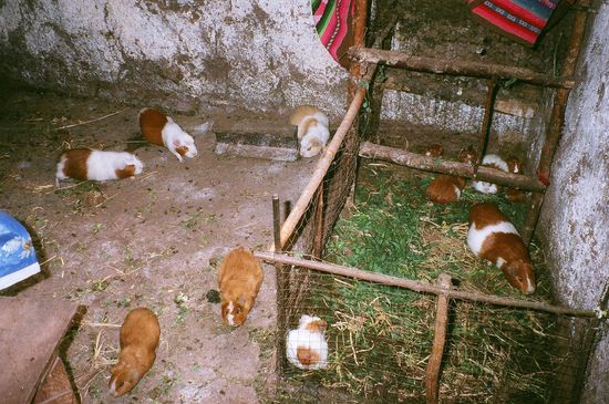 hmmm....lecker, lecker, lecker 