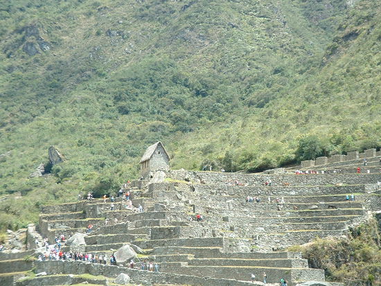 Der landwirtschaftliche Sektor