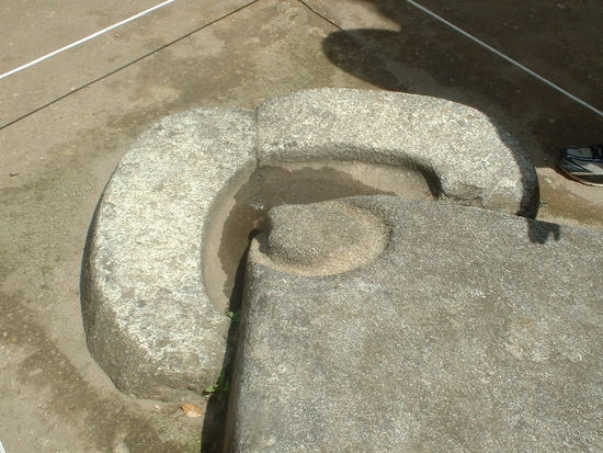 und der Kopf (des Condors)