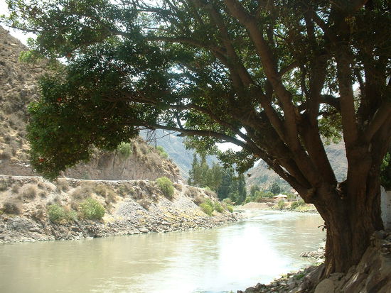 Der Rio Villcanota, gleich hinterm Haus