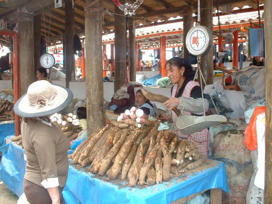 Hier werden auch die Äste von Yuka-Palmen frittiert und gegessen