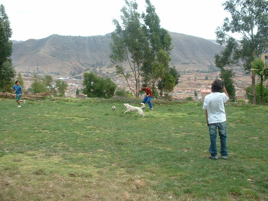alle Jungen haben Fussball gespielt, inklusive der Hund