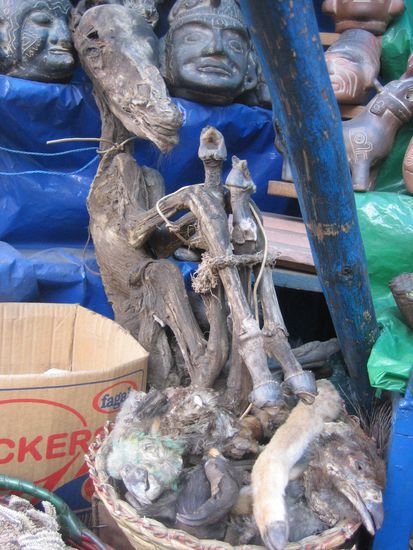 Toter Lamafötus - wofür der wohl gut sein soll?