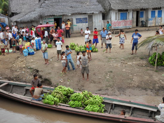 Hier werden bei einem Stopp in einem Dorf die Bananen aufgeladen, die dann auch als Fracht mitkamen