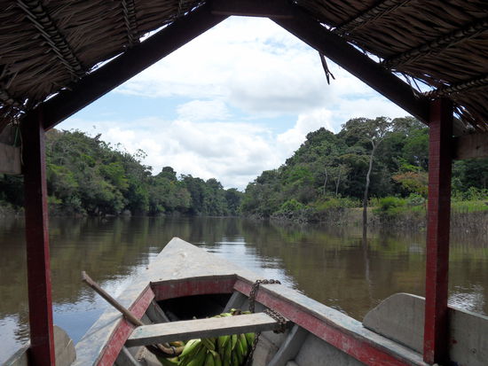 auf dem Rio Yarapa auf dem Weg zur Lodge