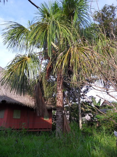 das Paradies vor der eigenen Haustür...