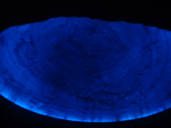 blau-beleuchtete Kuppel