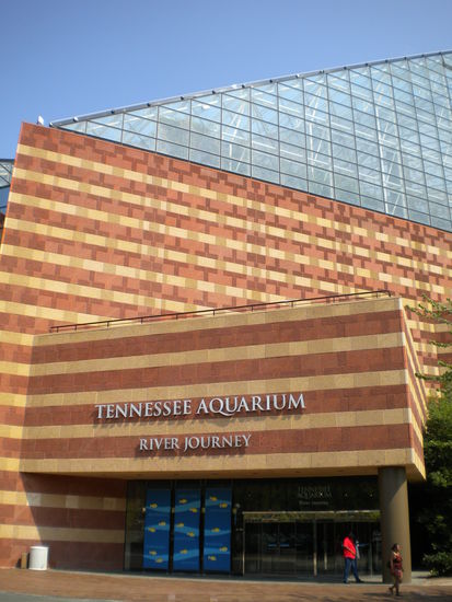 das aquarium von aussen...