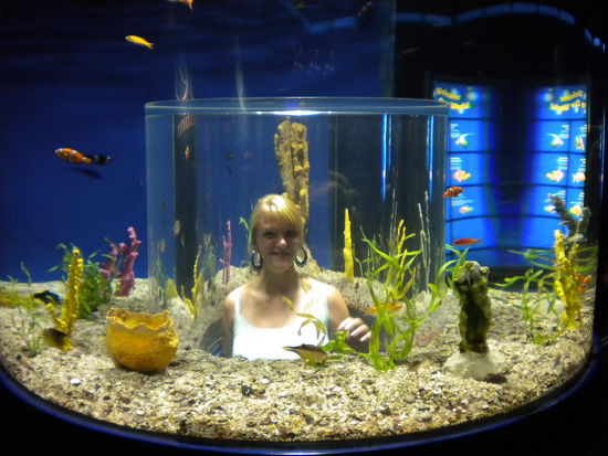 die bewohner von innen....