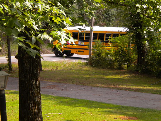 der schulbus, mit dem austin jeden mittag um 3 vorbei kam....