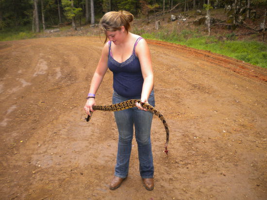 shawna und die klapperschlange...