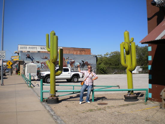 don't mess with texas.... yiiiihaaa   