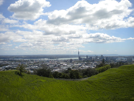 die million dollar view vom mt. eden.
des gruene im bild ist uebrigens ein vulkankrater ...