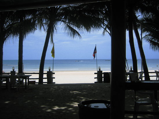 The view from my bungalow