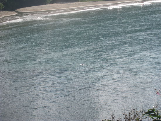 Ja das ist mein Kopf und es war absolut niemand weit und breit! (ein Dank an Matthew der das Foto gemacht hat!)