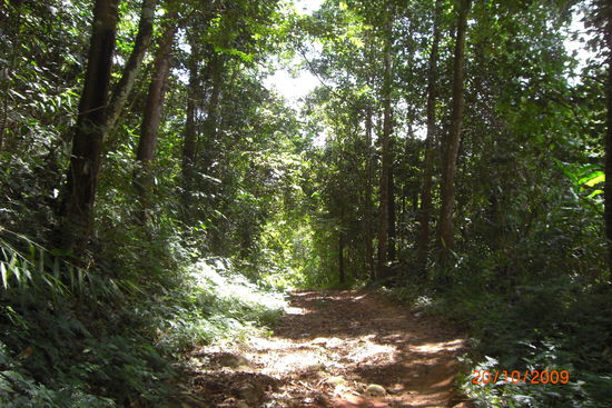 War echt ein steiniger Weg, den ich zu gehen hatte 