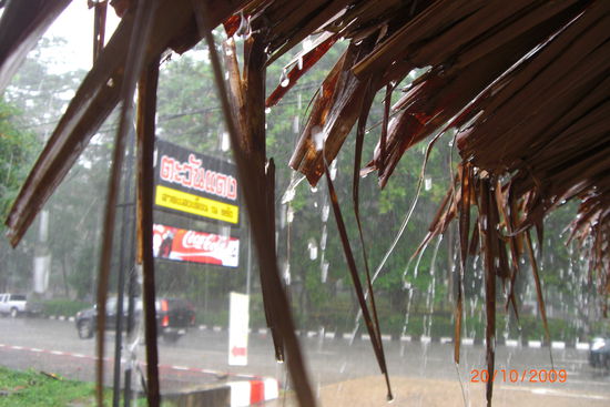 Gutes Foto oder? Es hat wirklich geschüttet!