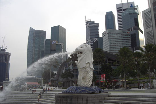 Der Merlion, eines der Wahrzeichen und beliebtes Fotoobjekt, vor allem die Japaner entwicklen die lustigsten "Stellungen" 