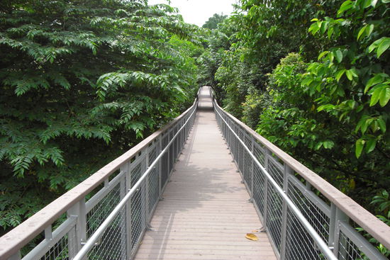 Der Nature Walk einfach nur zu empfehlen und man sieht mal was anderes als Häuser und Shopping Malls, die es auch hier zu Hauf gibt!!