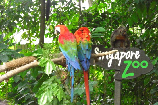 Die Tier waren lebendig und haben einen begrüßt beim Eintritt  sehr nice