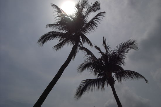 Das letzte Bild auf Sentosa 