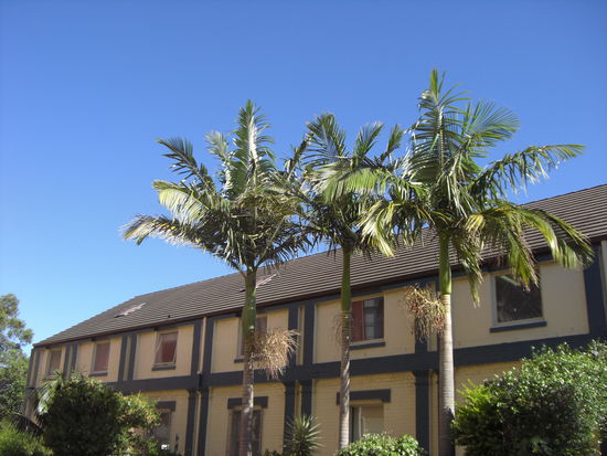 So sieht es teilweise in Newtown aus ... dem Studentenviertel in Sydney in dem es wirklich alternative und coole Läden gibt - hier kann man in einem Second Hand Shop original Mickey Maus T-Shirts erwerben oder alte NBA Trikots!!