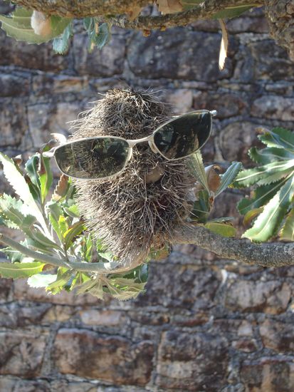 .... wer das wohl ist? Sprechen wollte er nicht mit uns ....