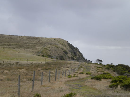 Das Wetter war wirklich rau und hat an Helgoland erinnert und der Weg zu den Seehunden war teilweise auch anstrengend! Dies ist ein Suchbild und irgendwo ist die Mama versteckt, die weit hinter mir war ... na gefunden?