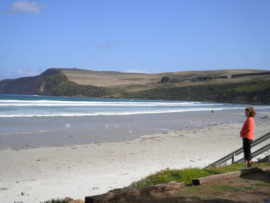 Einfach mal Seele baumeln lassen beim Blick über die Bucht!